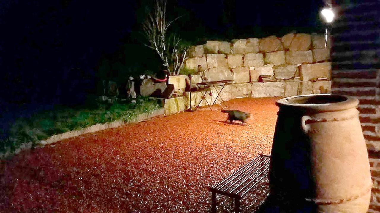 La Fermette Des Grains Dorés